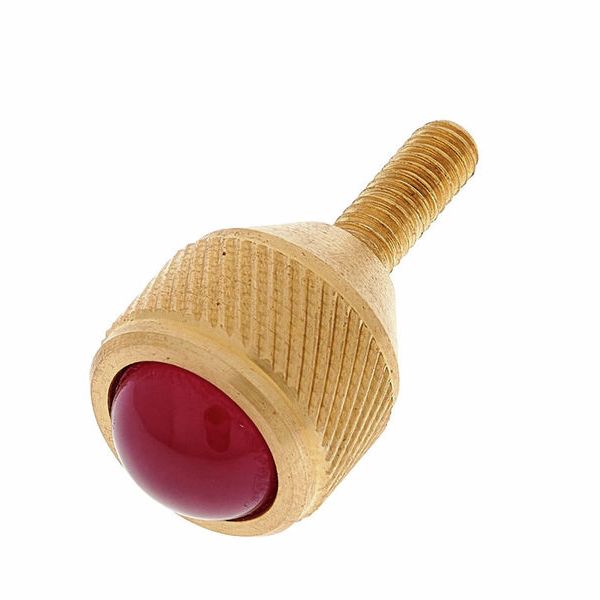 KGUMusic Neck Screw Selmer raw