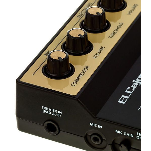Roland EC-10M ELCajon Mic Processor