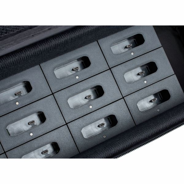 the t.bone Tour Guide Mini C12