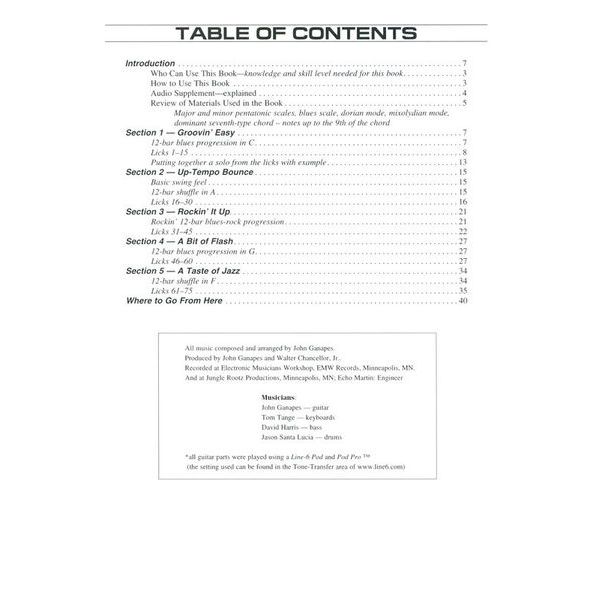 Hal Leonard Blues Licks You Can Use