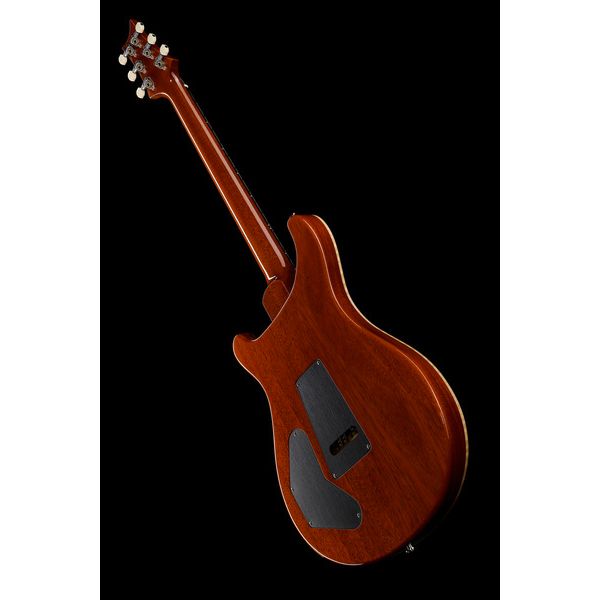 PRS DGT Birds MS