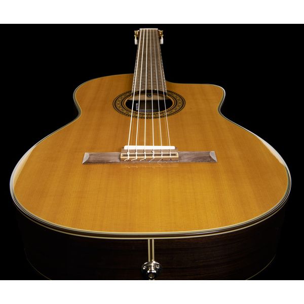 Takamine EC132SC w/Softcase