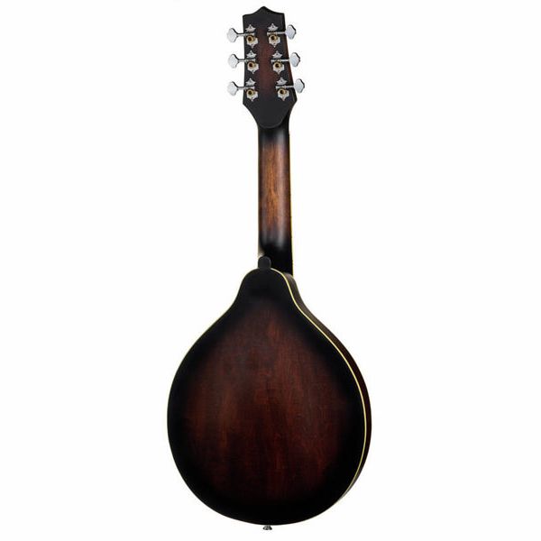 Gold Tone A-6 Mando Guitar TS