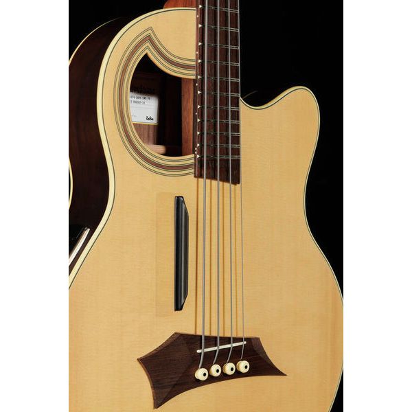 Warwick Alien Deluxe 4 Hybrid Thinline