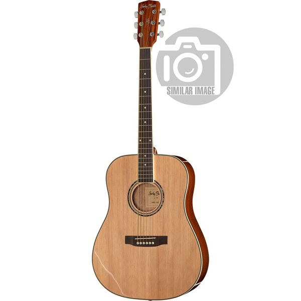 Harley Benton D-120NT