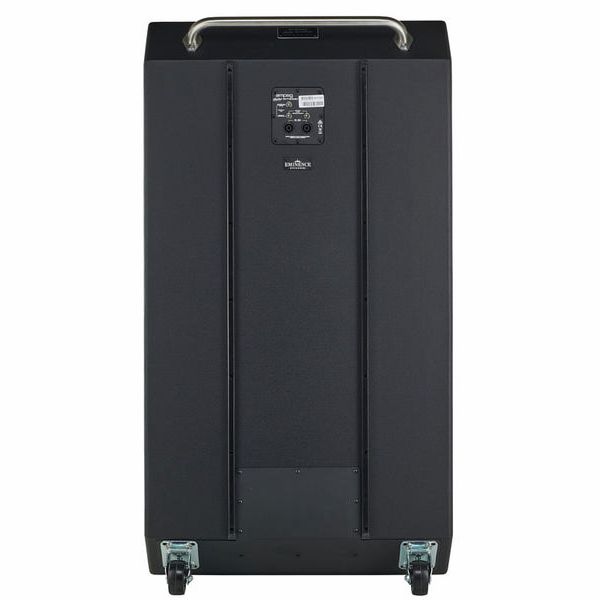 Ampeg Heritage SVT-810AV