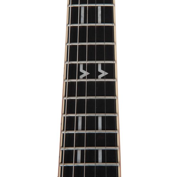 Peavey Adrian Vandenberg PFM