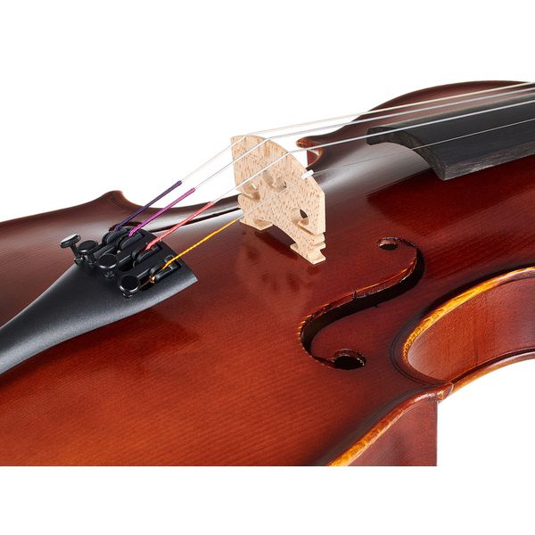 Gewa Allegro Violin Set 4/4 SC MB
