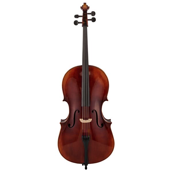 Gewa Maestro 6 Antique Cello 4/4