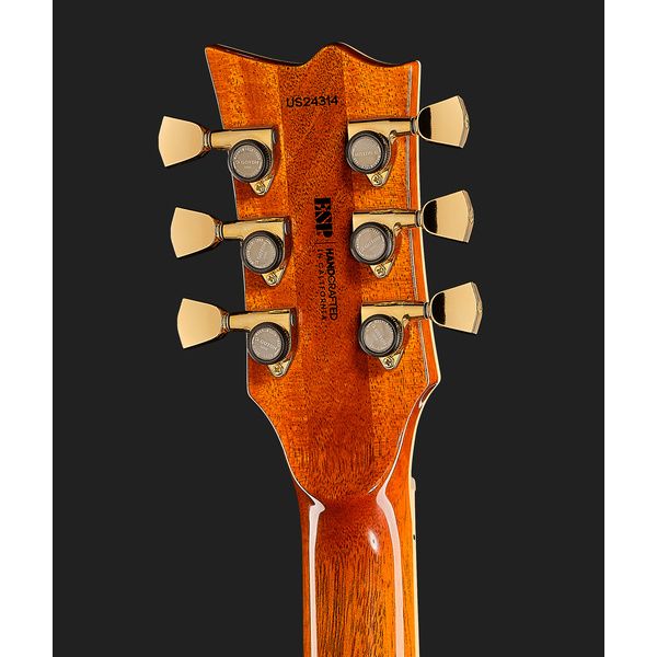 ESP Eclipse USA Raspberry