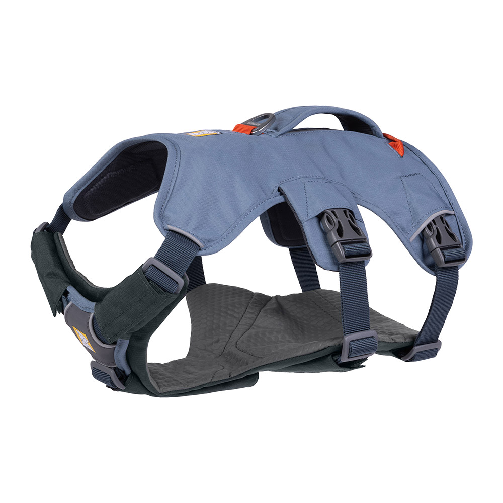 ブラッシュガード