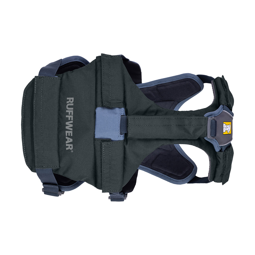 ブラッシュガード