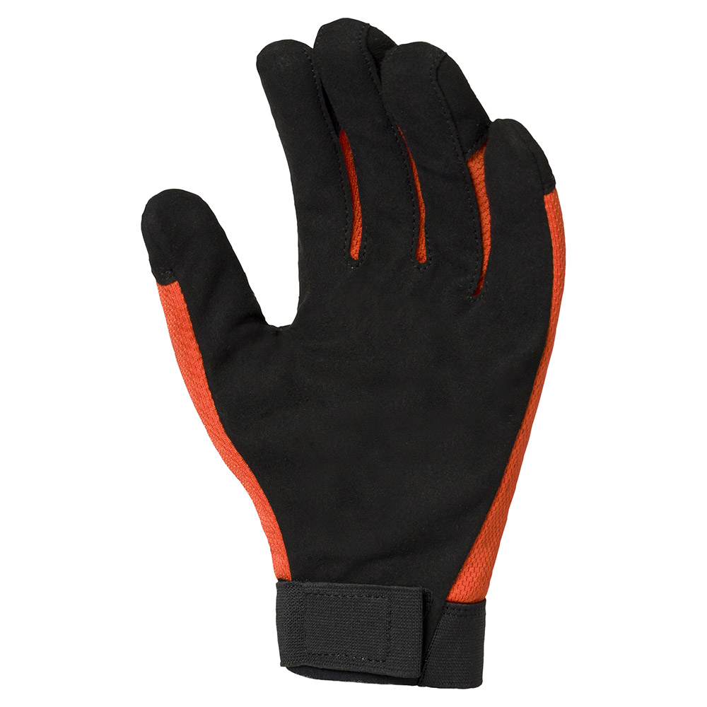 フィールド ワークグローブ