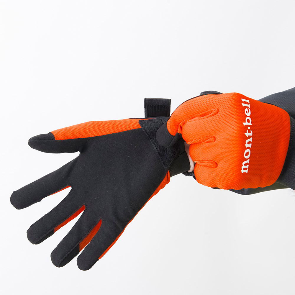 フィールド ワークグローブ