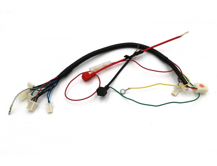 Wiring harness for 49cc 2 Stroke Engine Mini Quad