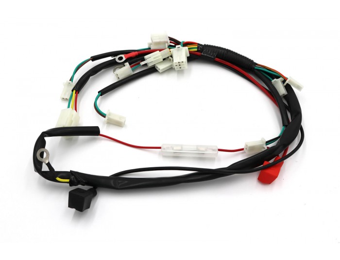 Wiring harness for 49cc 2 Stroke Engine Mini Quad