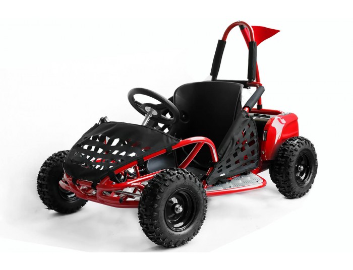 GoKid 1000W 48V Kids Electric Mini Buggy
