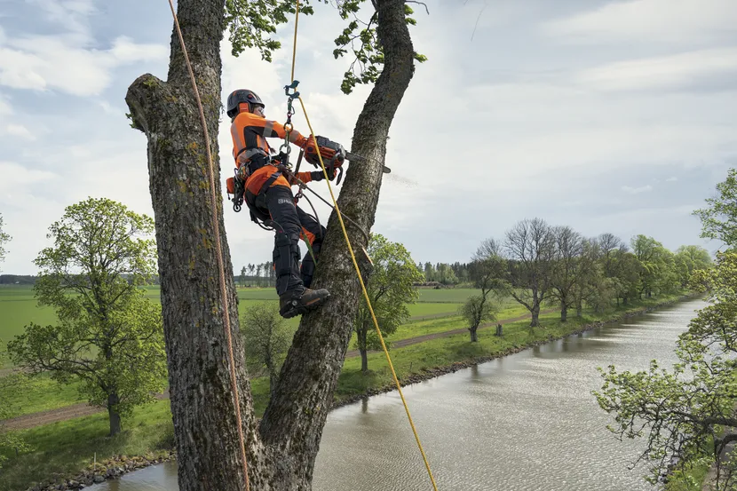 T540 XP® Mark III Gas Chainsaw
