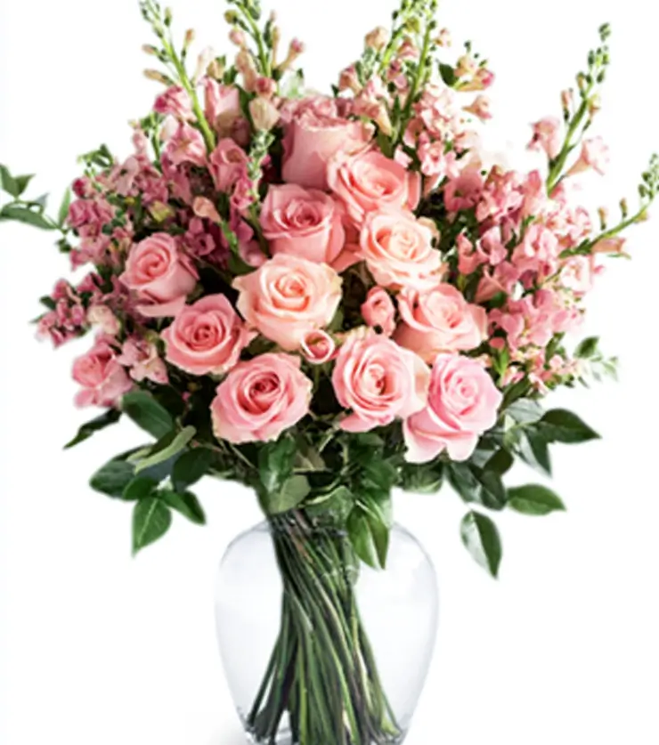 White and Pink Roses