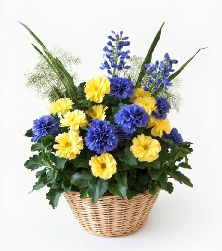 Get Well Soon Flower Arrangement