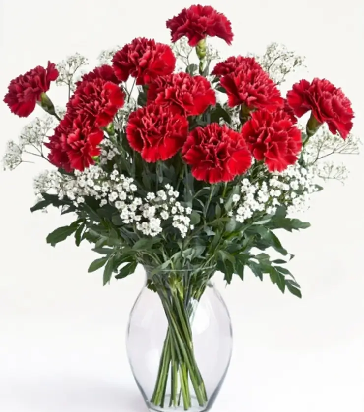 Vibrant Carnations