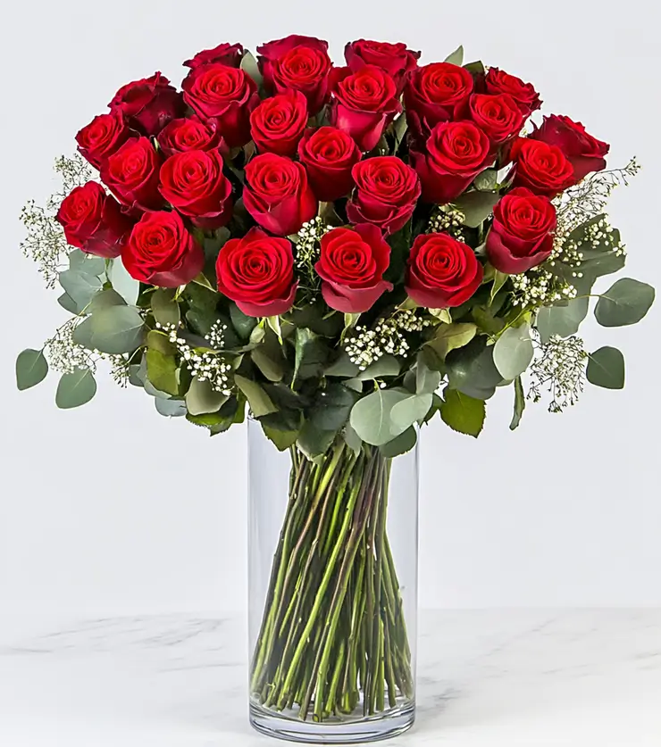 A Stunning Arrangement of Two Dozen Red Roses