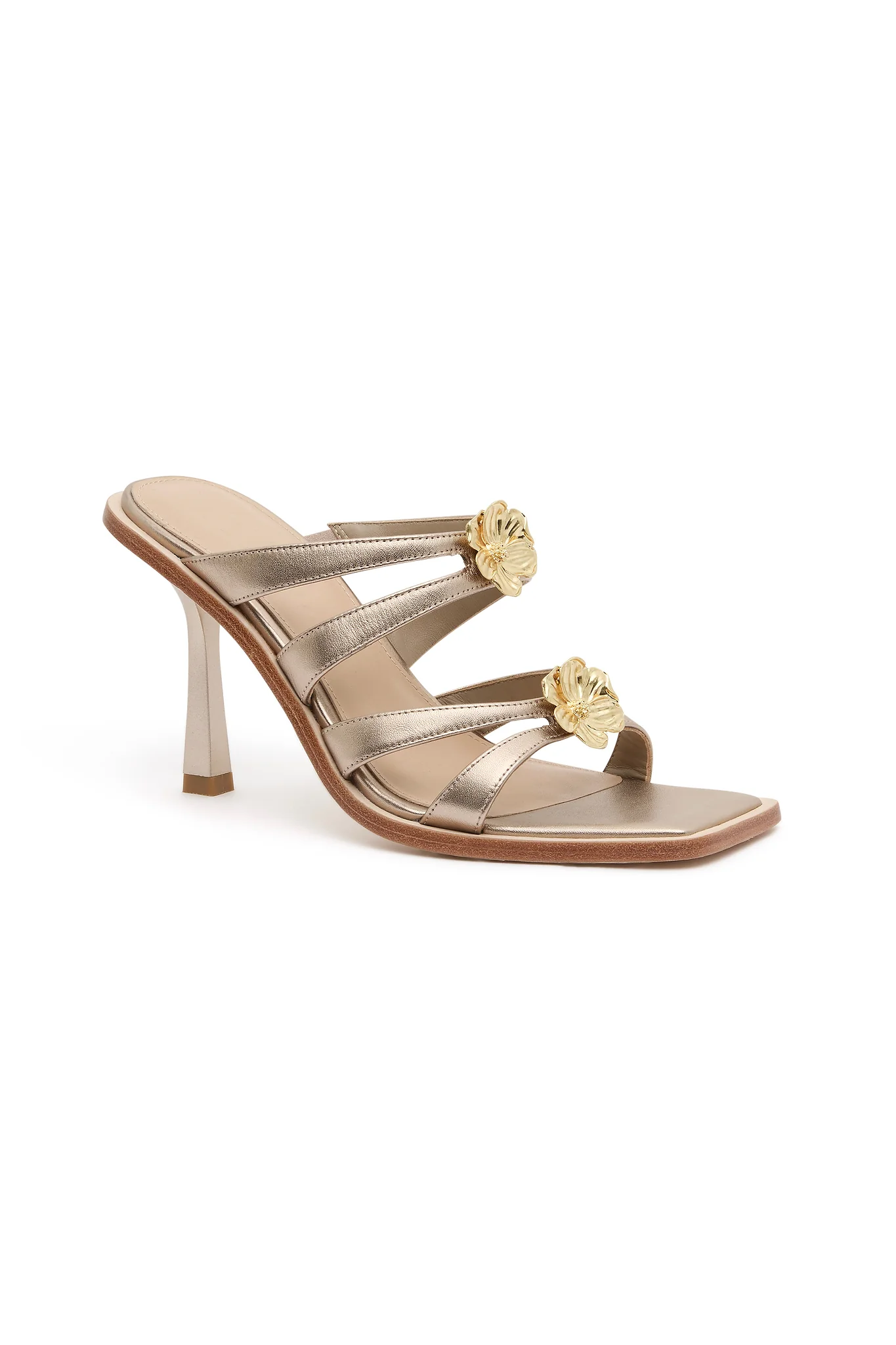 Aventura Heel