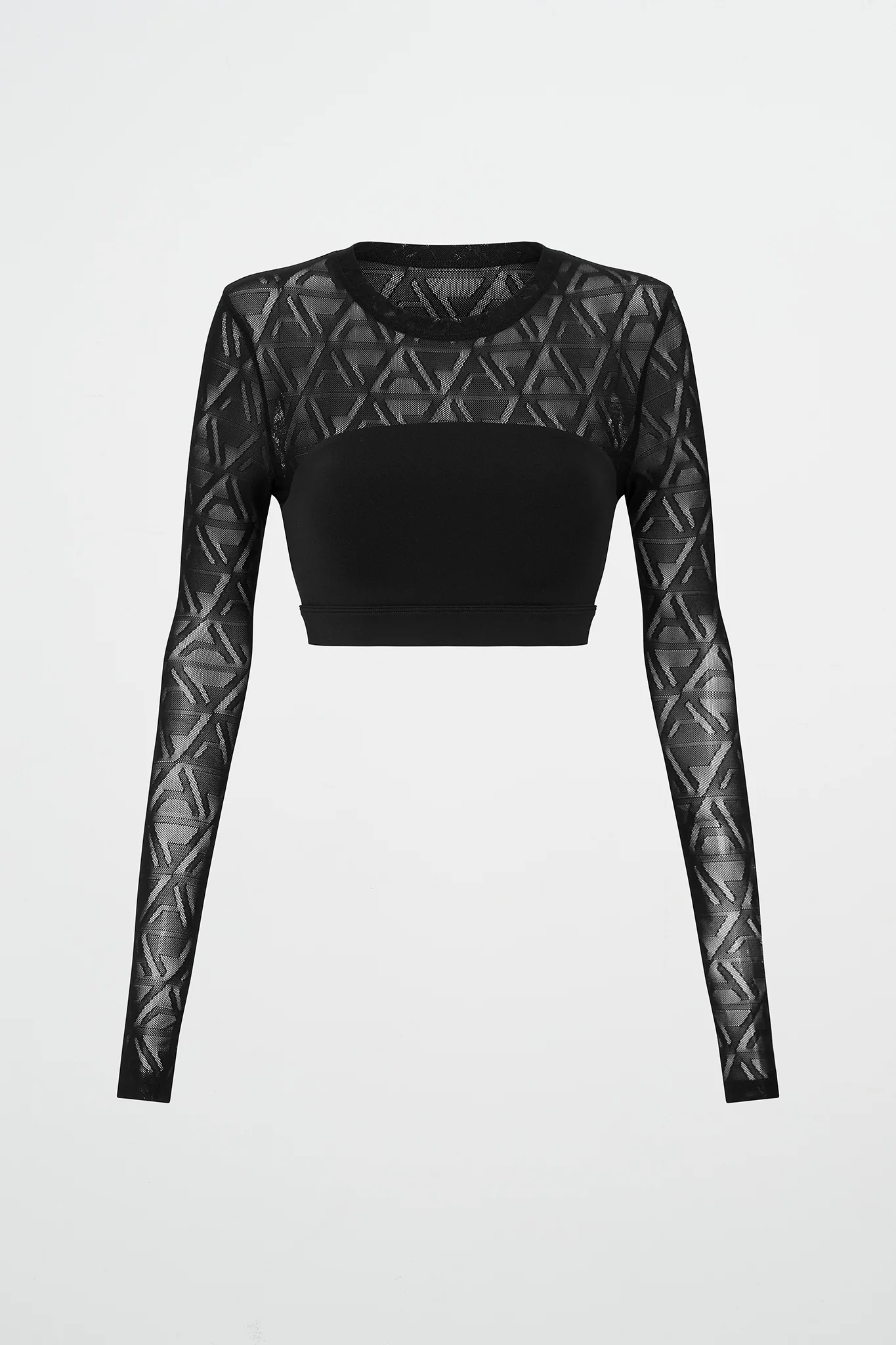 Long Sleeve Mesh Crop Top 356
