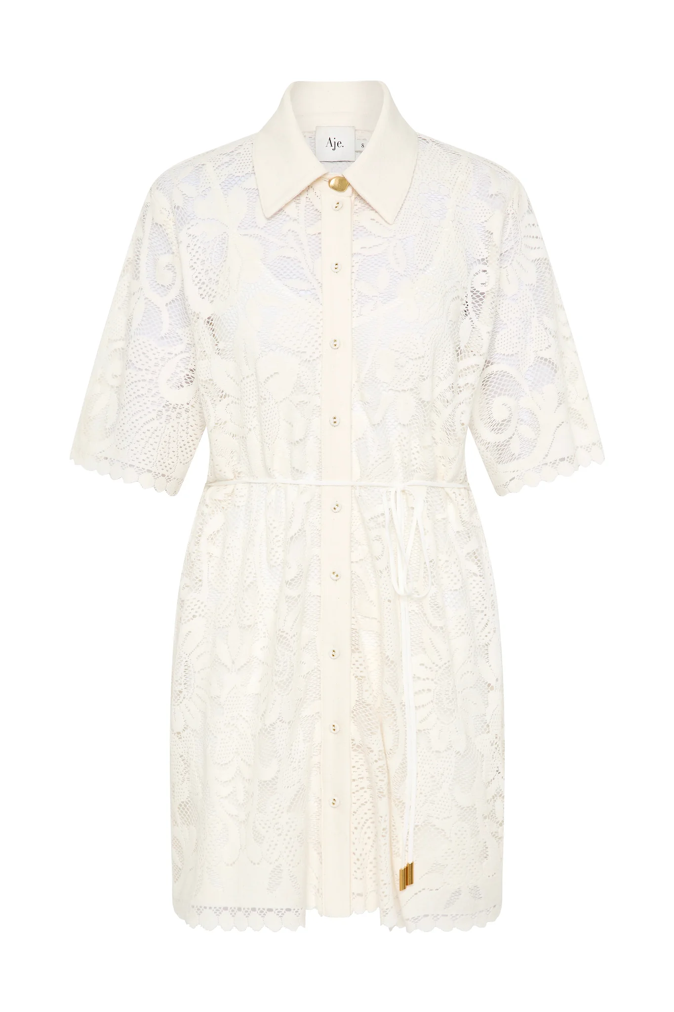 Muses Lace Mini Dress