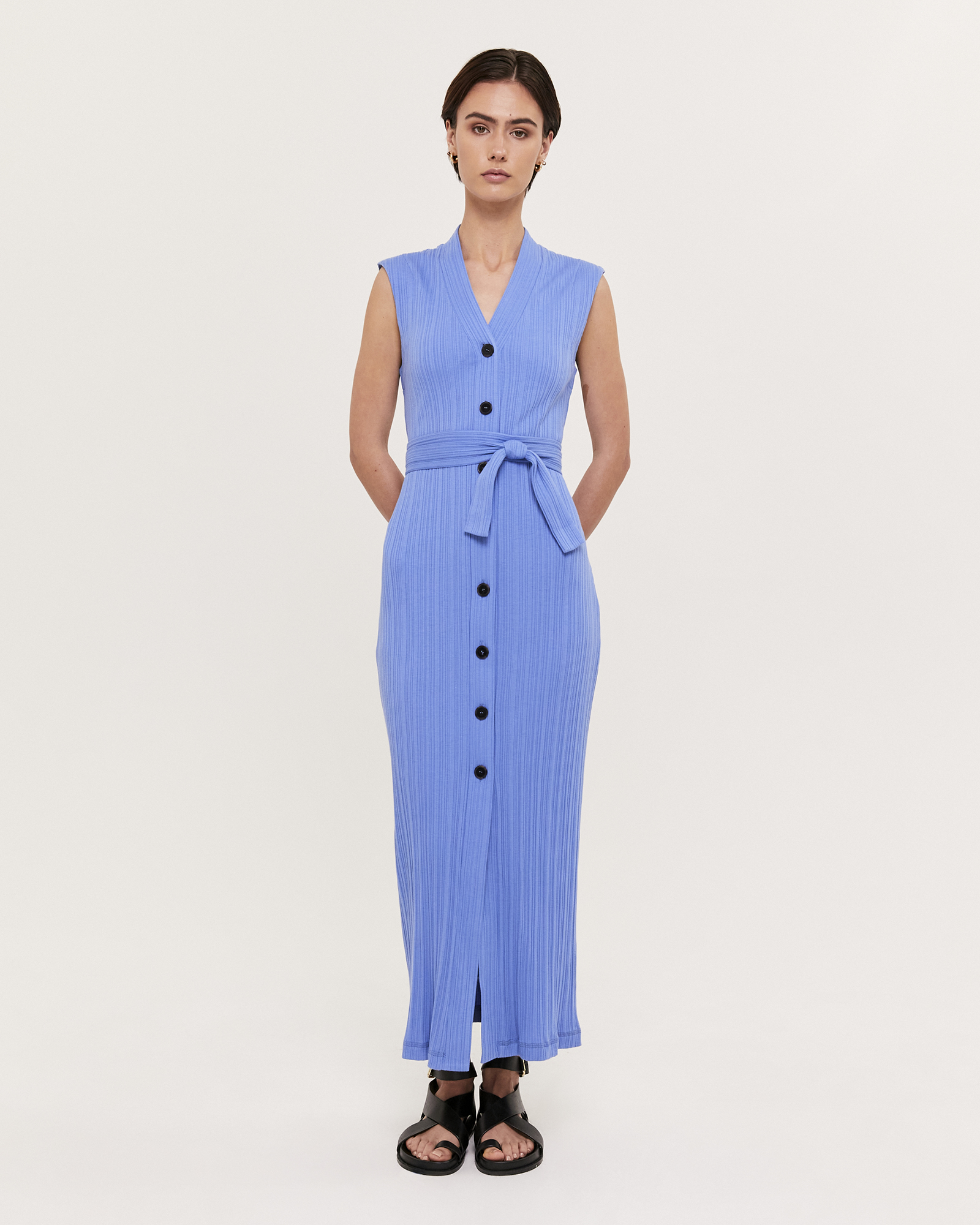 Sabine Sleeveless Dress