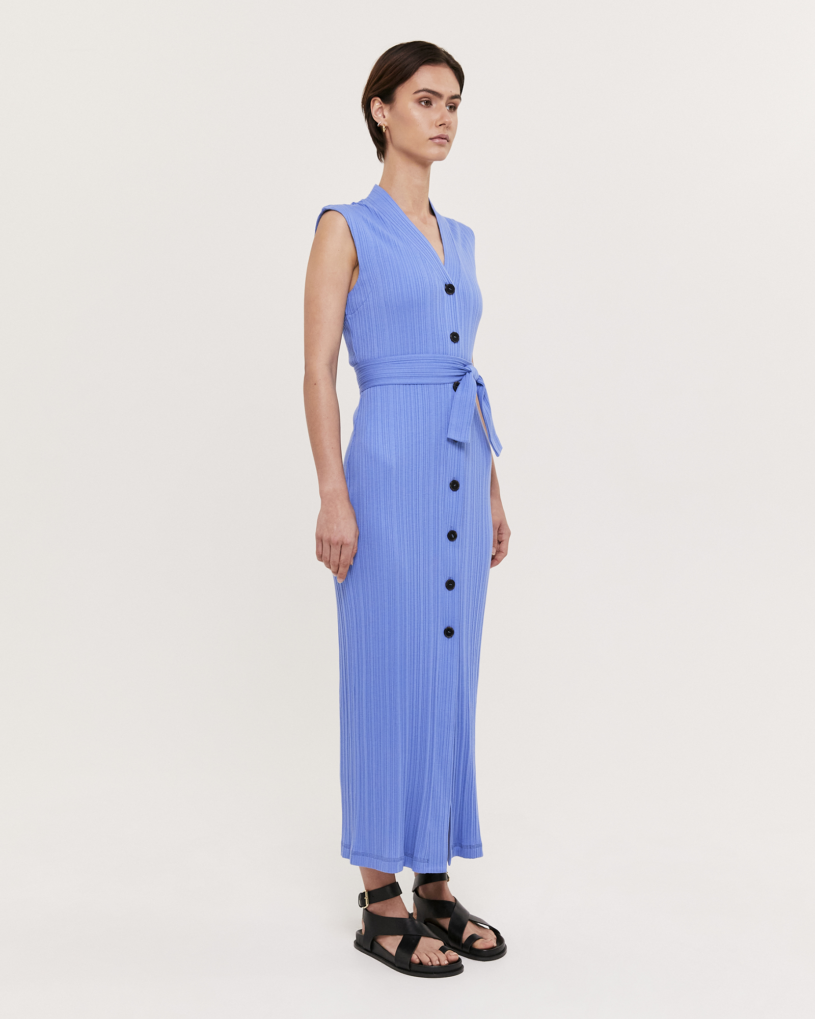 Sabine Sleeveless Dress