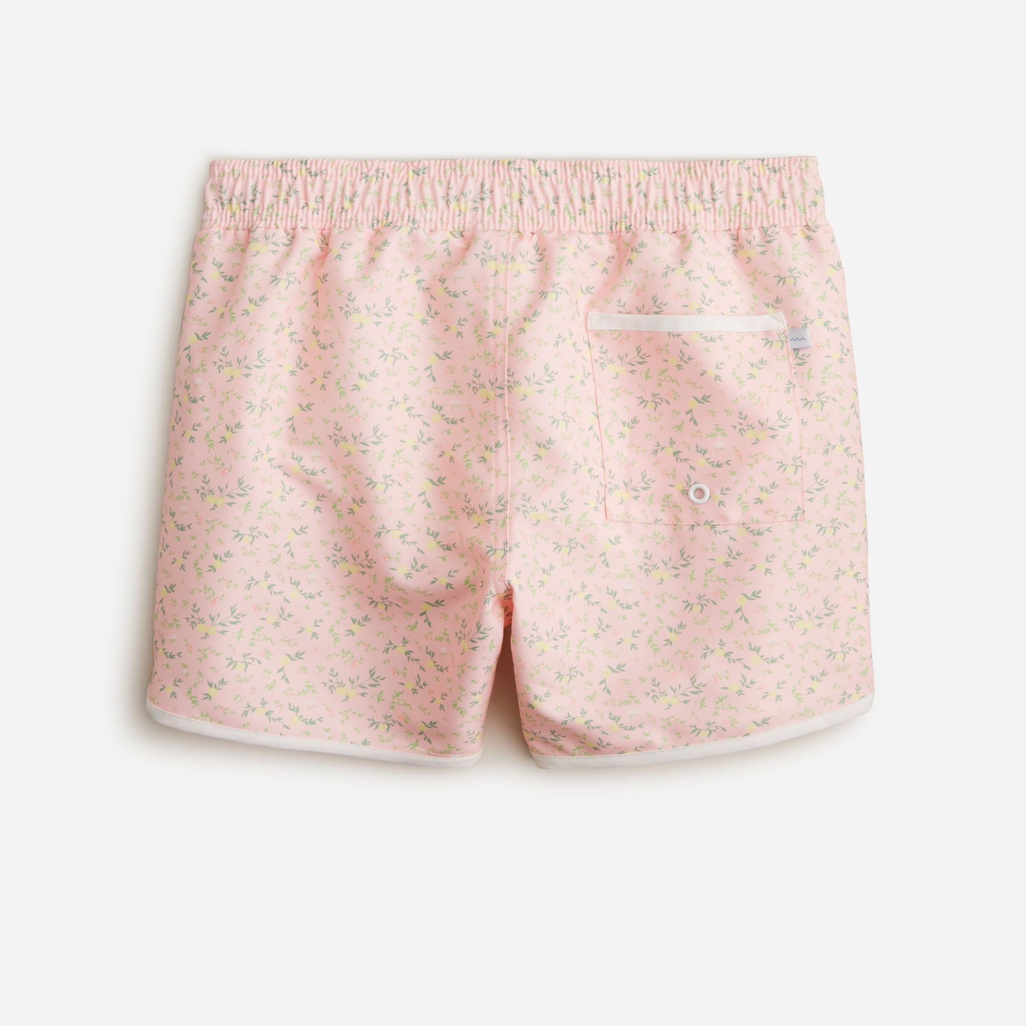 minnow™ X crewcuts boys' printed swim trunk