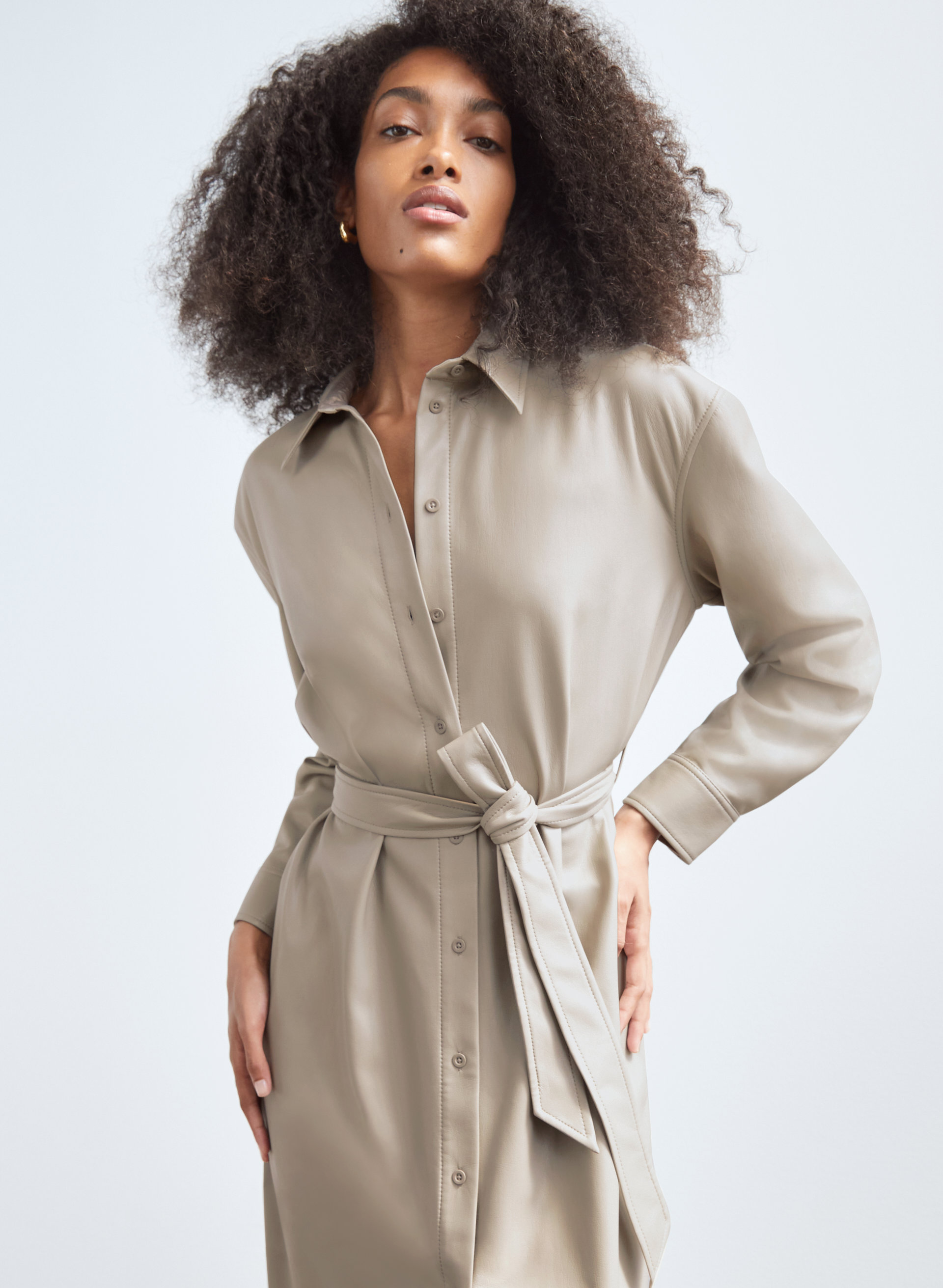 Vice Dress