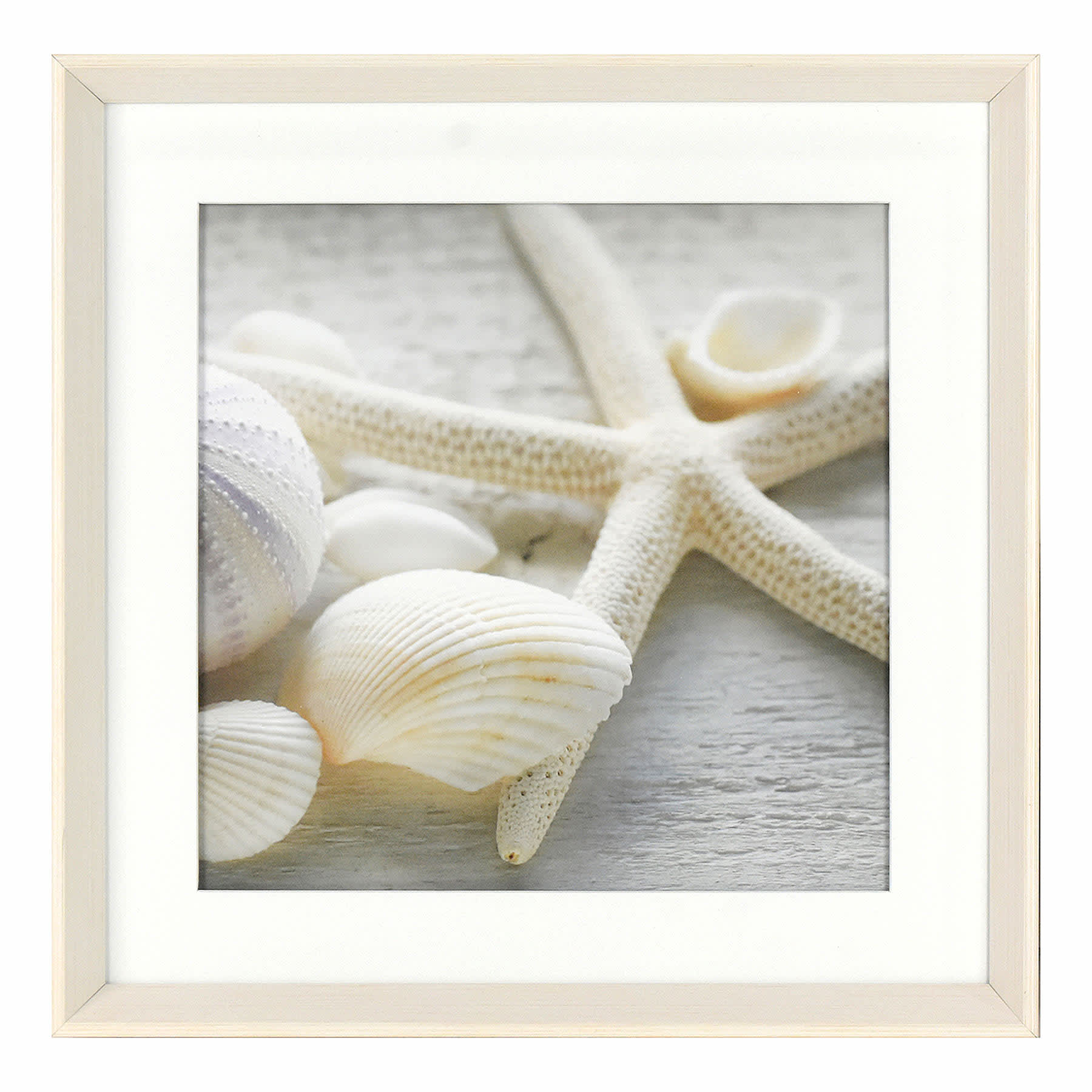 Ty Pennington Glass Framed Shells Print Wall Art, 16"