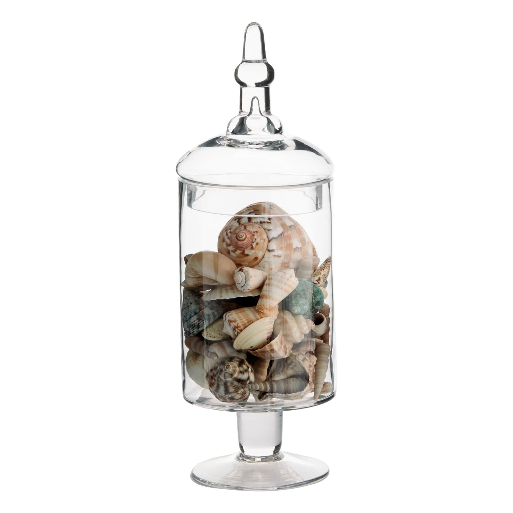 Honeybloom Clear Glass Apothecary Jar, 15"