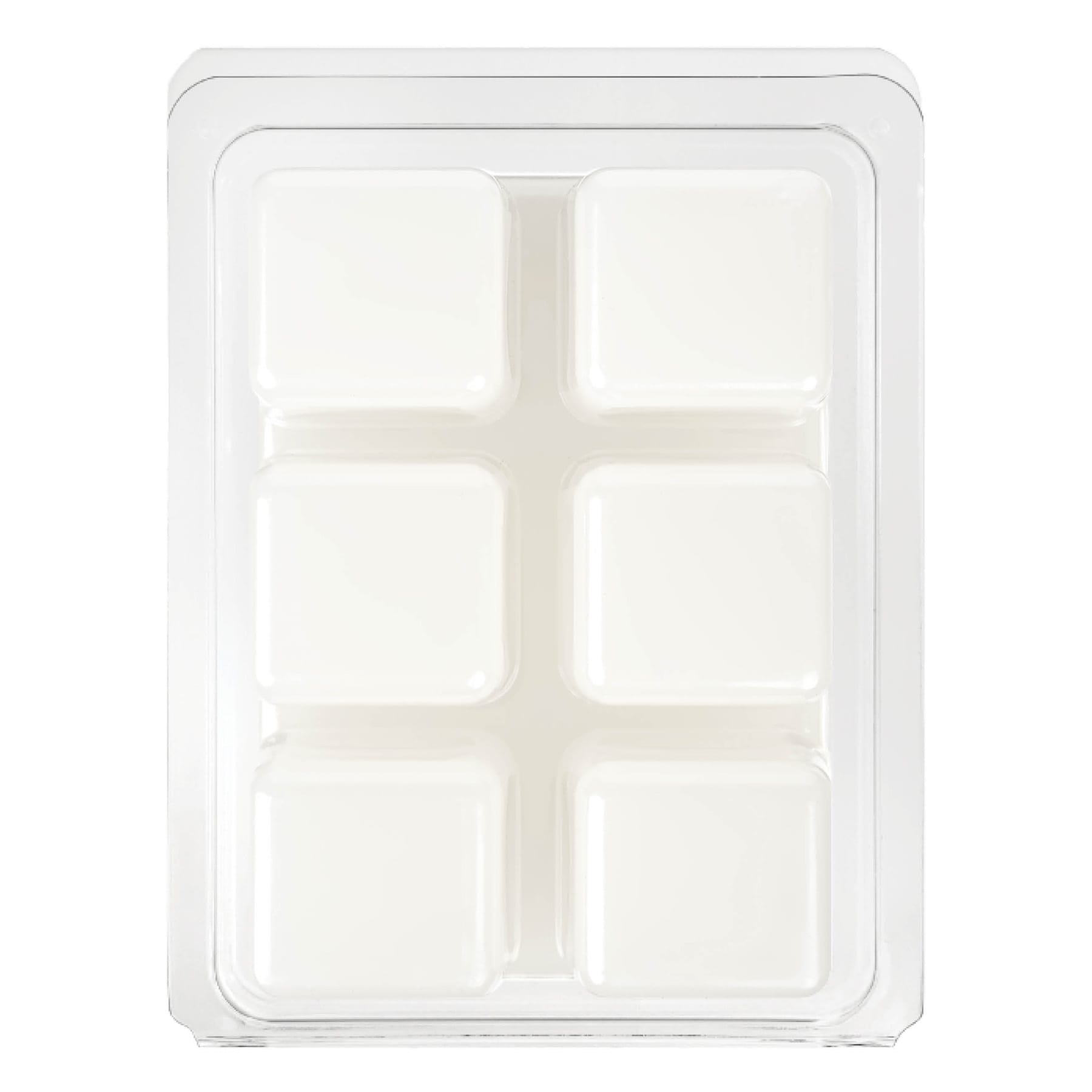 Coastal Coconut & Lime Scented Wax Melts, 2.5oz
