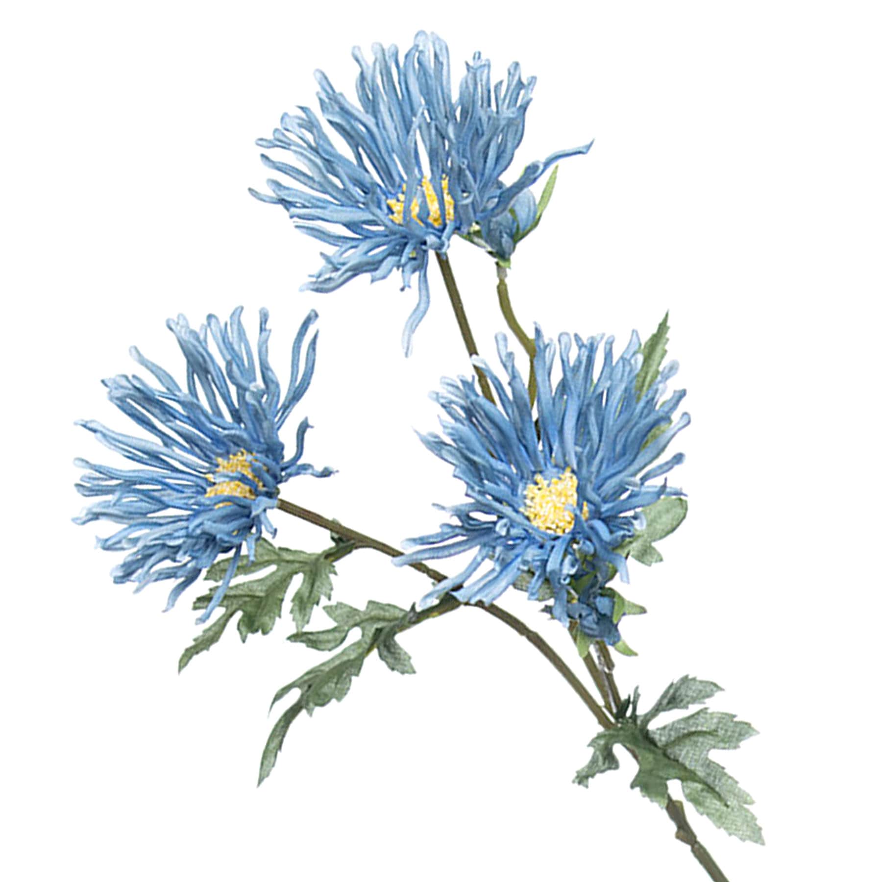 Blue African Daisy Spray, 29"