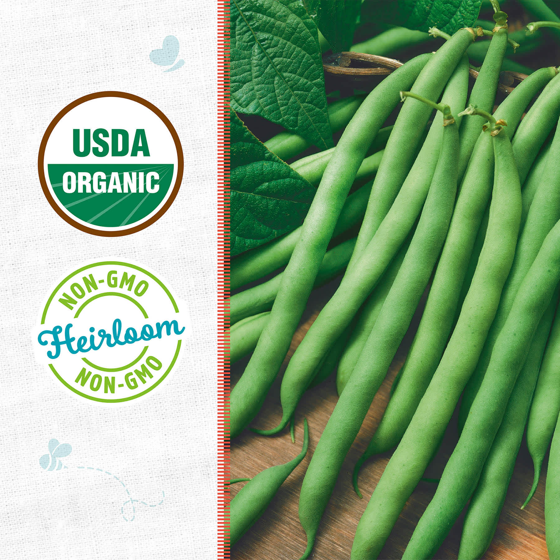 Back to Roots Heirloom Seeds, Bean Blue Lake Bush Green