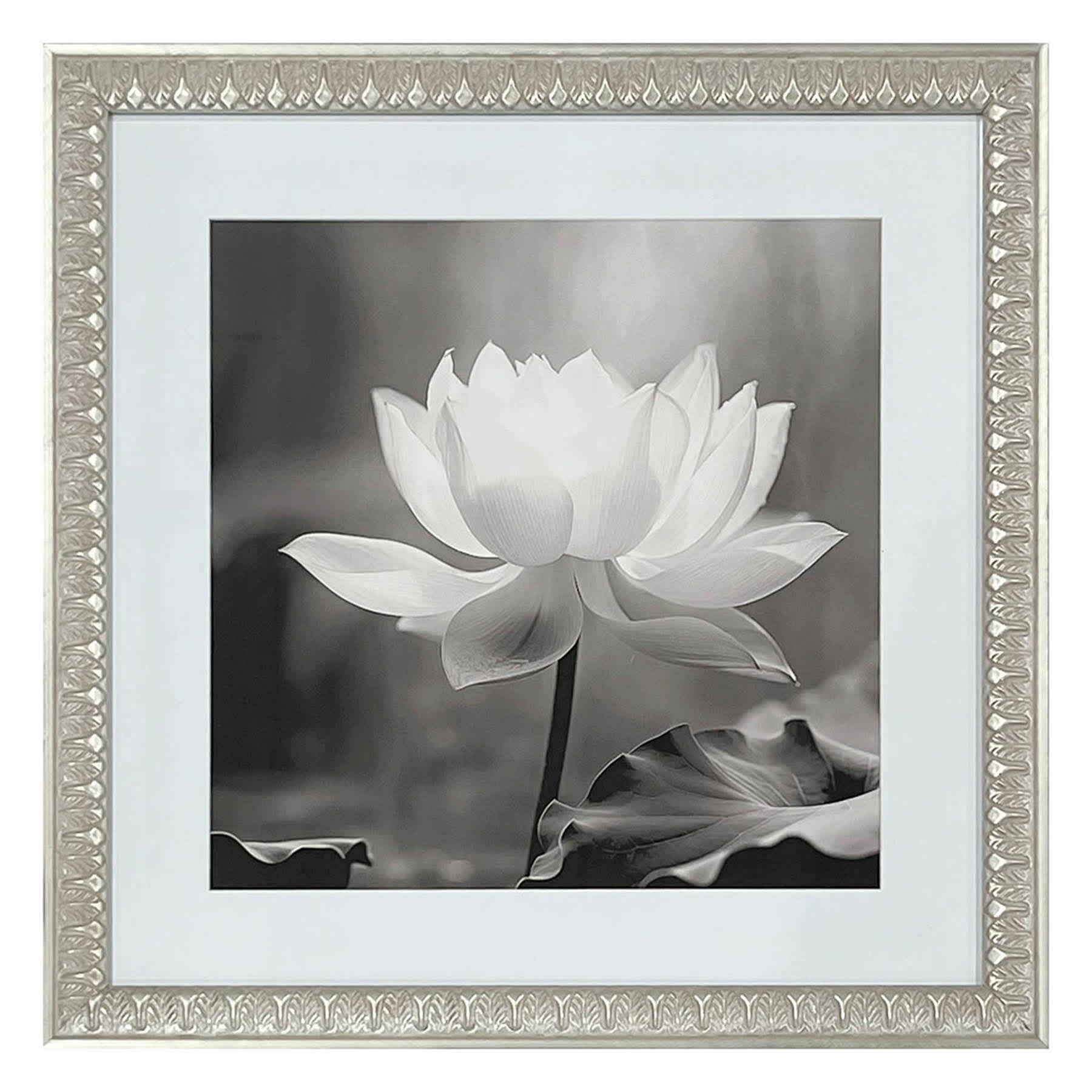 Glass Framed Lotus Print Wall Art, 18"