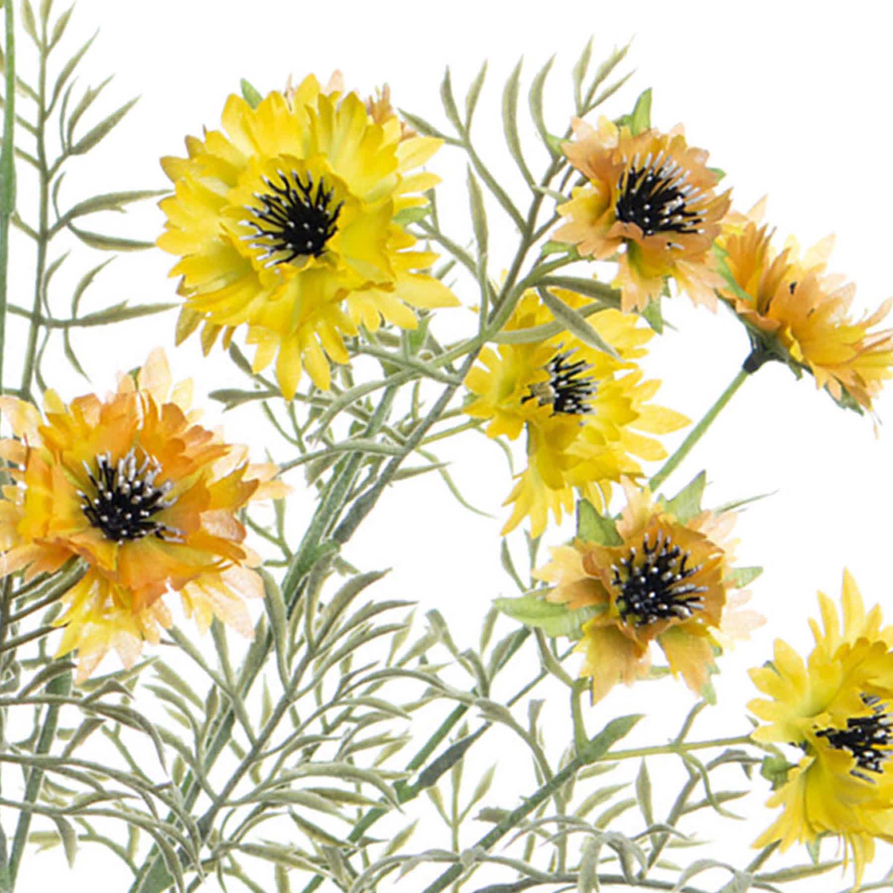 Yellow Cornflower Bush, 19"
