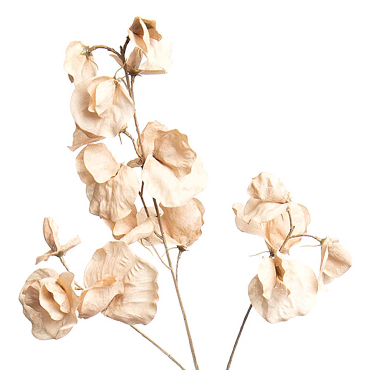 Yellow Sweet Pea Floral Spray, 29"