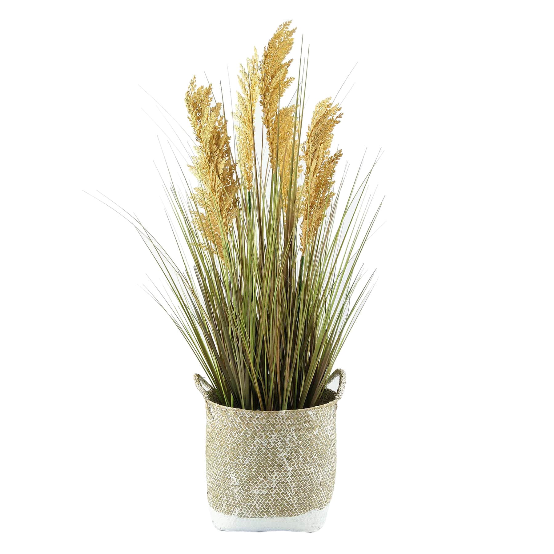 Onion Grass in Woven Basket, 38.5"