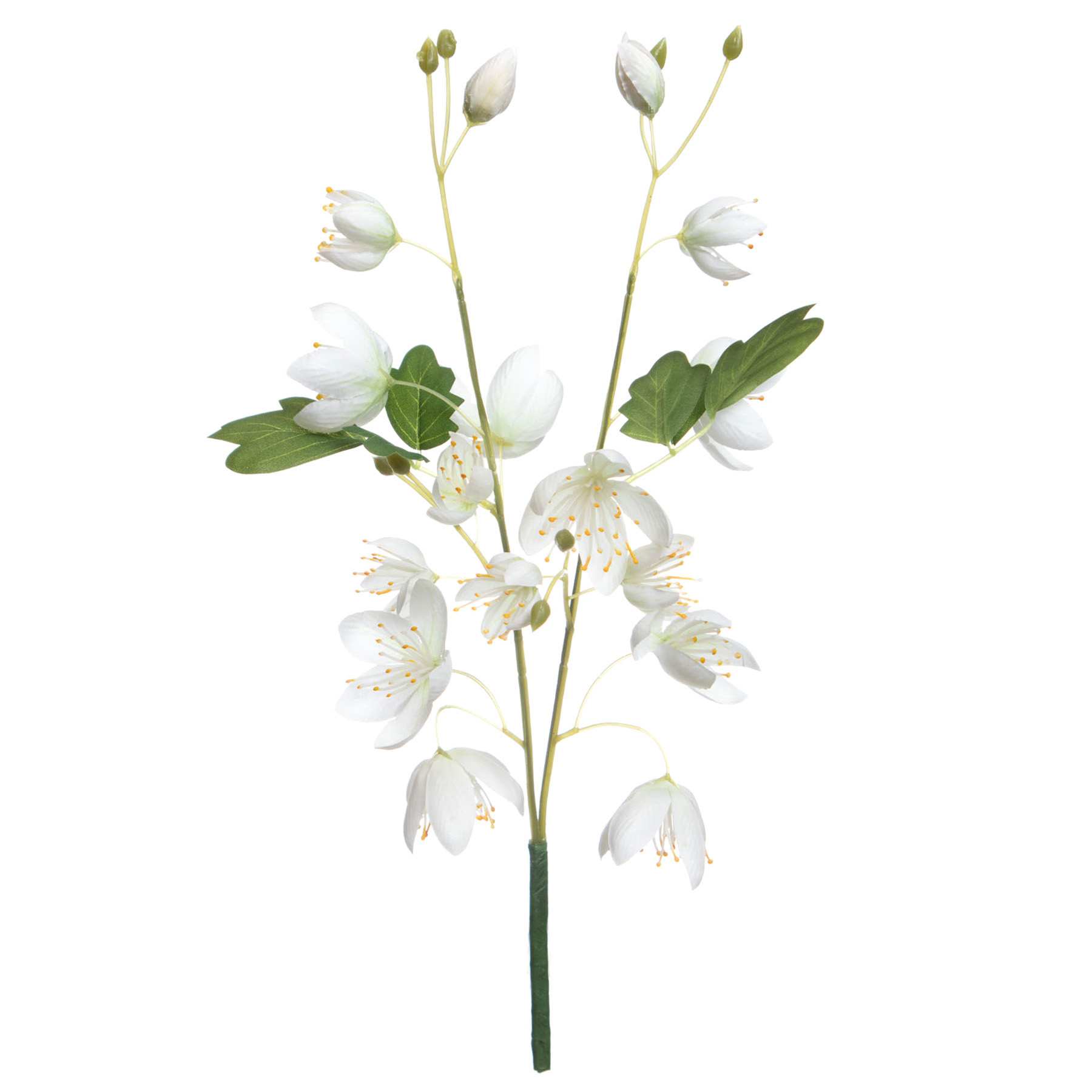 Willow Crossley White Columbine Pick, 12"