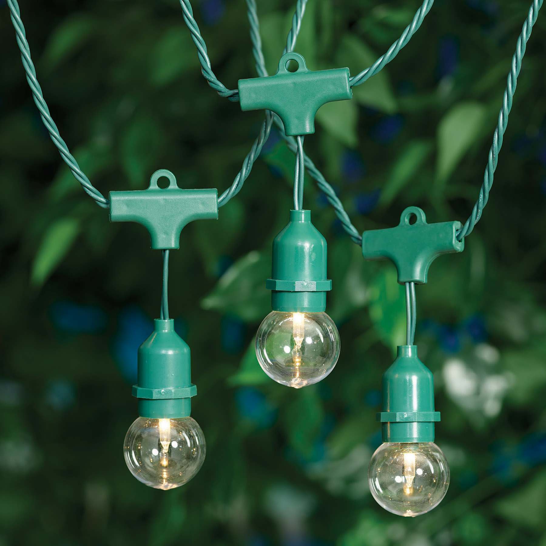 30-Count Clear G40 Globe String Lights with Green Commercial Wire