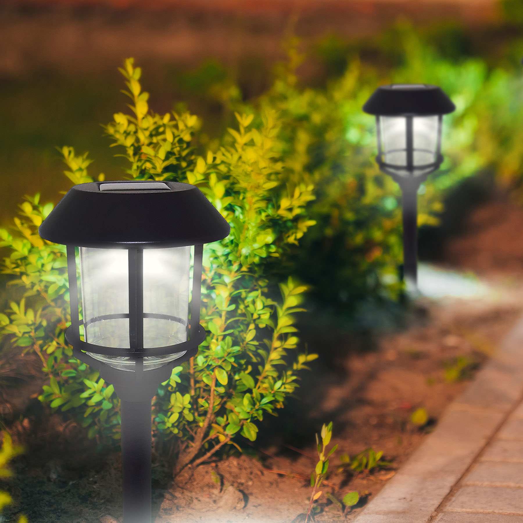 8-Lumen Solar Black Caged Pathway Light