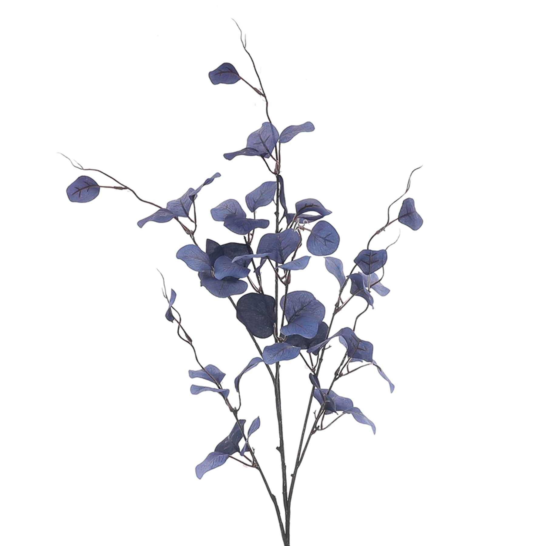 Large Blue Eucalyptus Stem, 33"