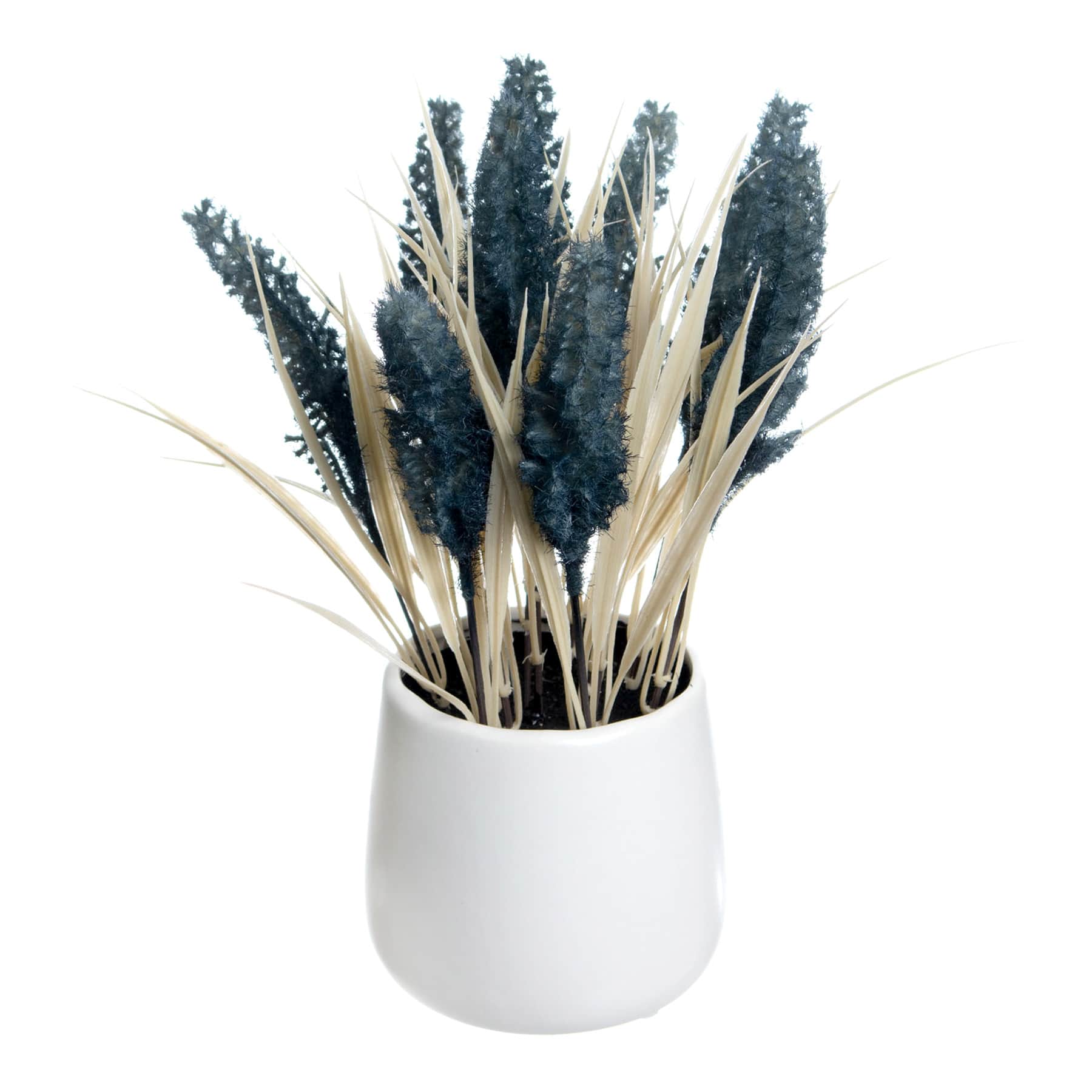 Honeybloom Blue Dog Tail in Ceramic Pot, 11"