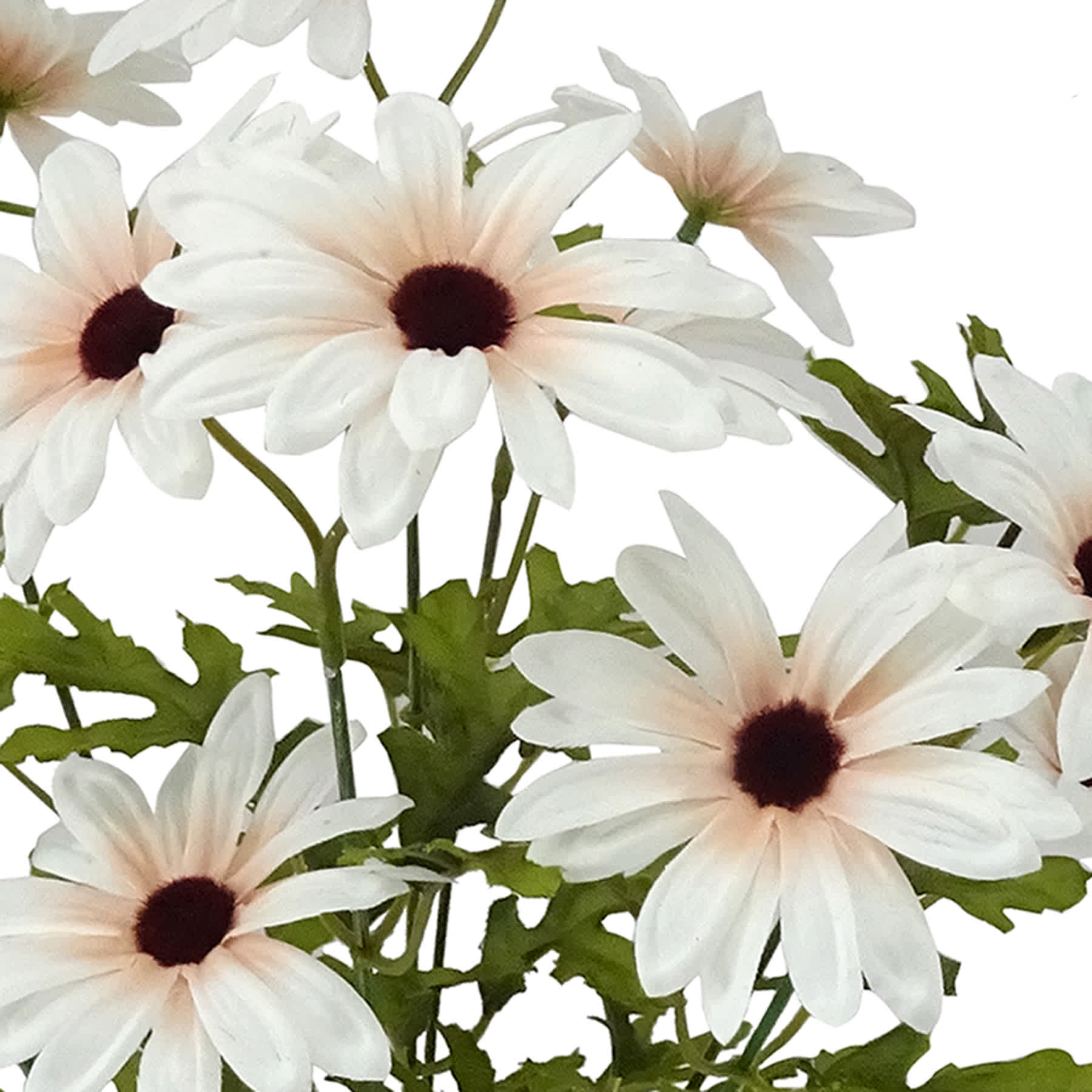 White 20-Head Daisy Bush, 18"