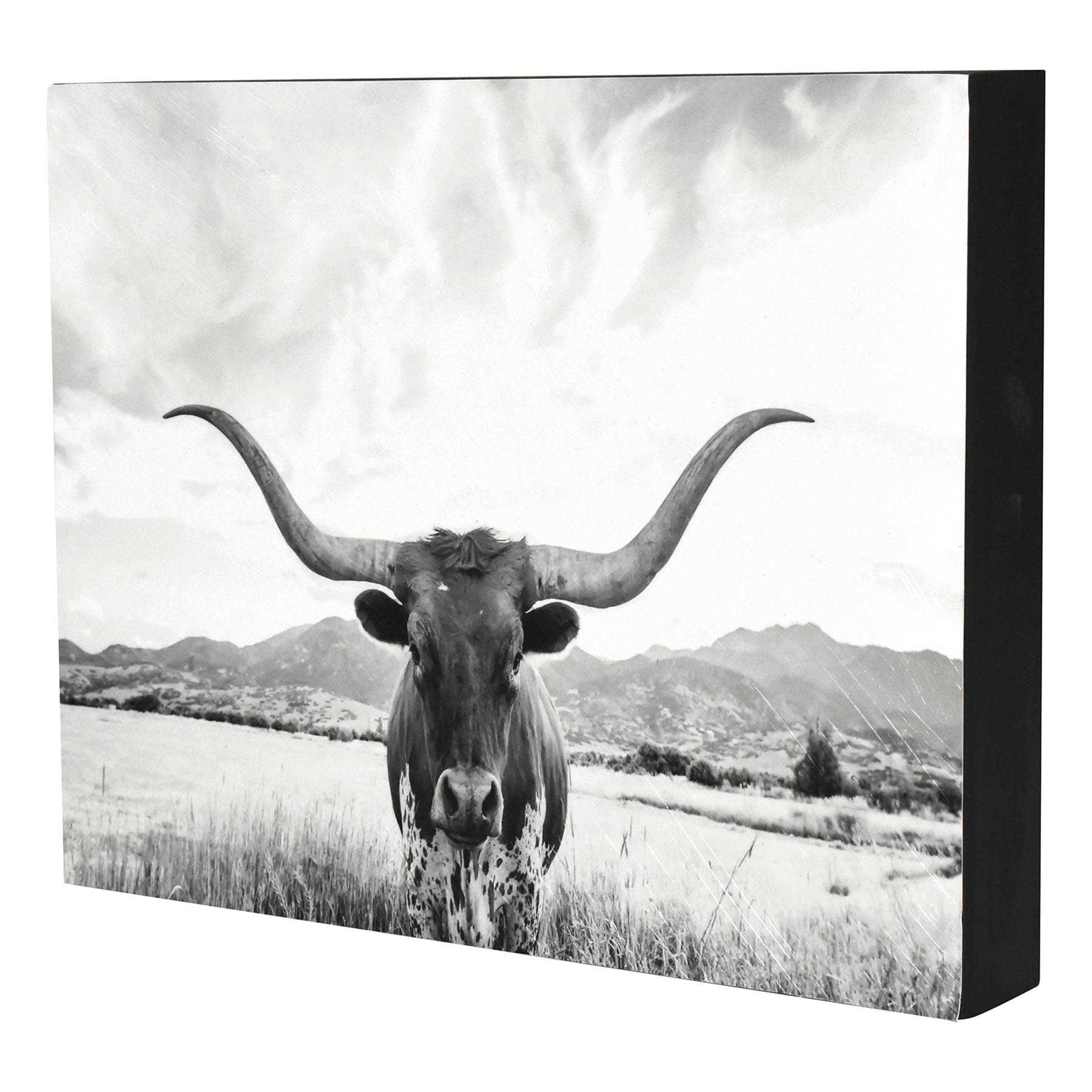 Longhorn Block, 8x10