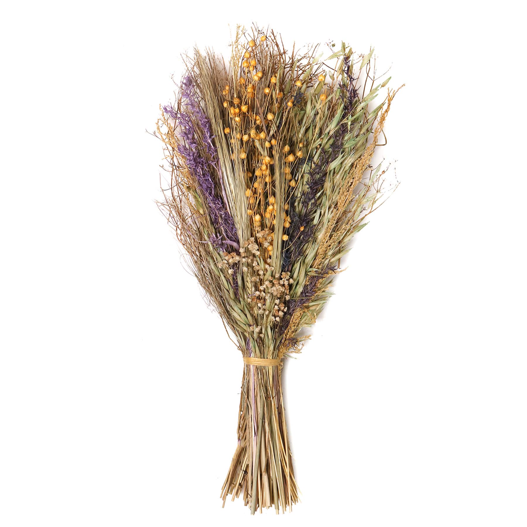 Honeybloom Dried Botanical Bunch, 16"